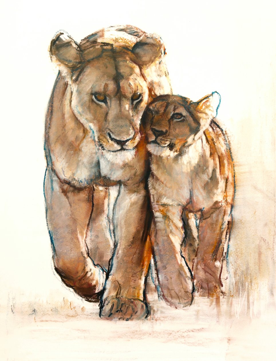 Concurso, 2019 de Mark Adlington