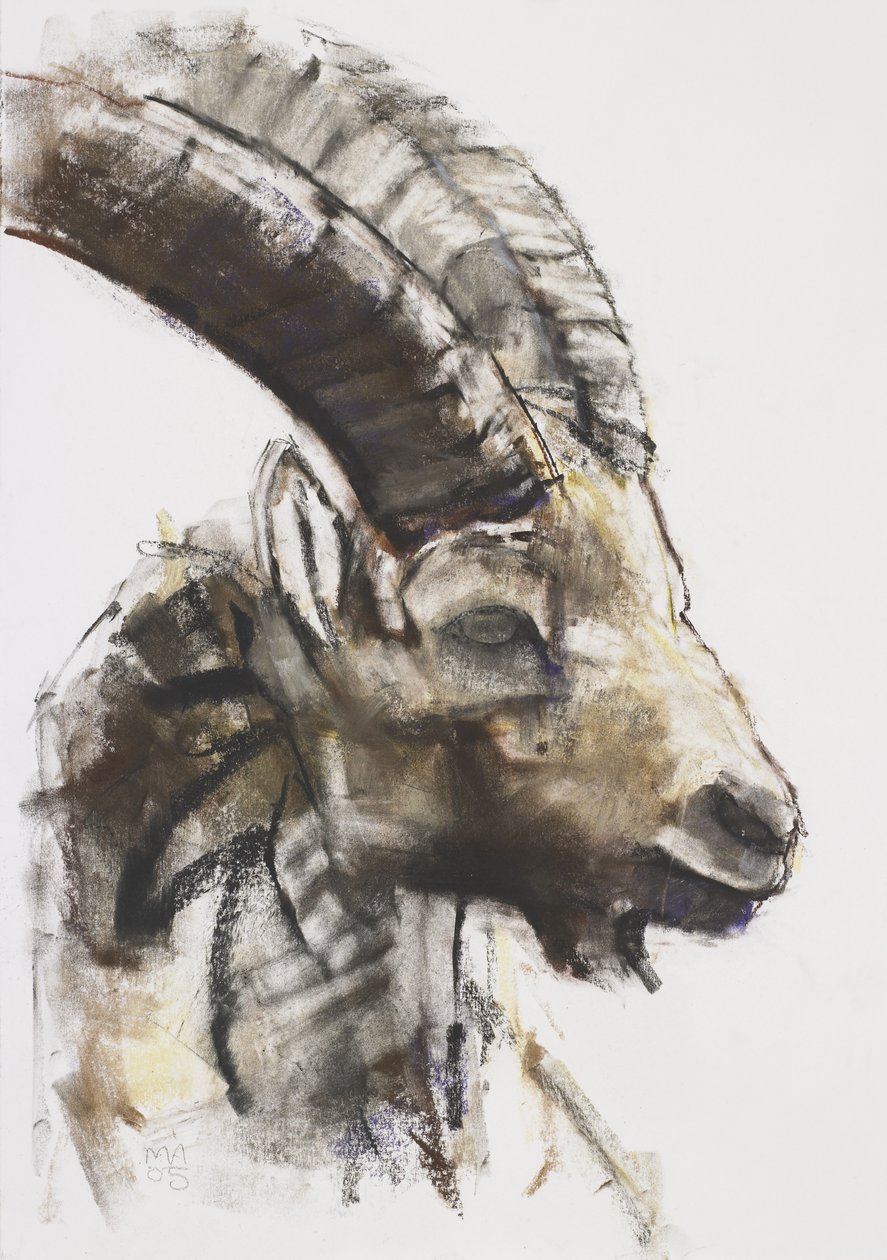 Testa, 2005 (carvão e conte no papel) de Mark Adlington