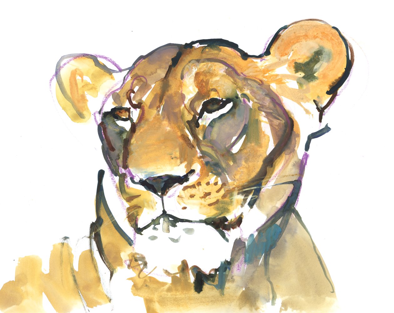 A Lioness de Mark Adlington