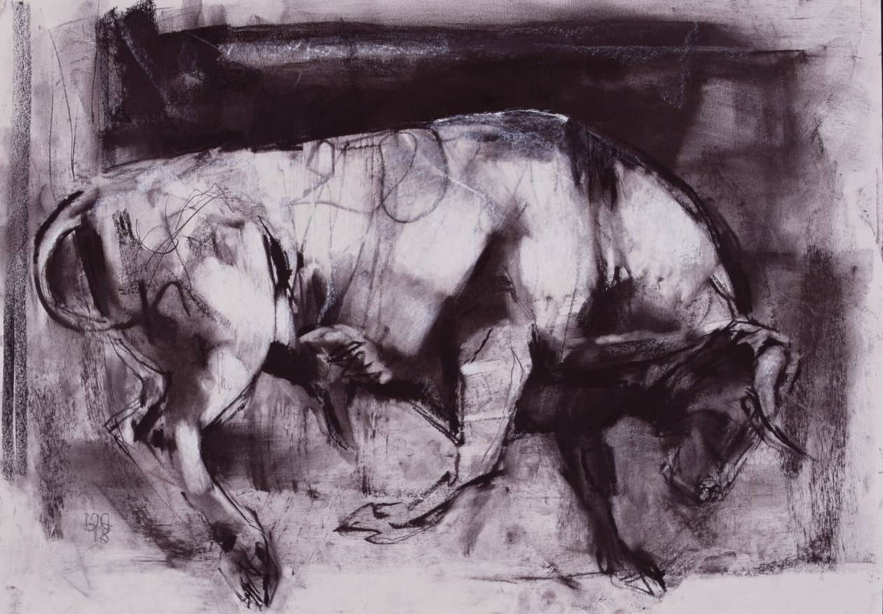 The White Bull (estudo), 1998 (carvão sobre papel) de Mark Adlington