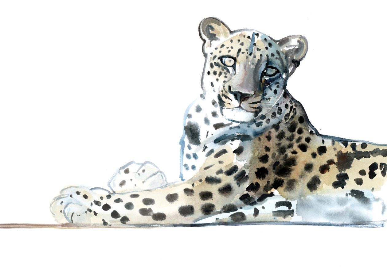Tilt (Arabian Leopard), 2015, (aquarela e guache sobre papel) de Mark Adlington