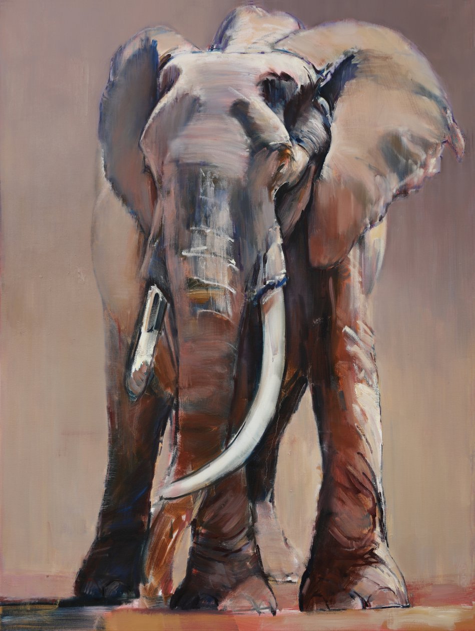 Venerável Matriarca Velha, 2018 de Mark Adlington