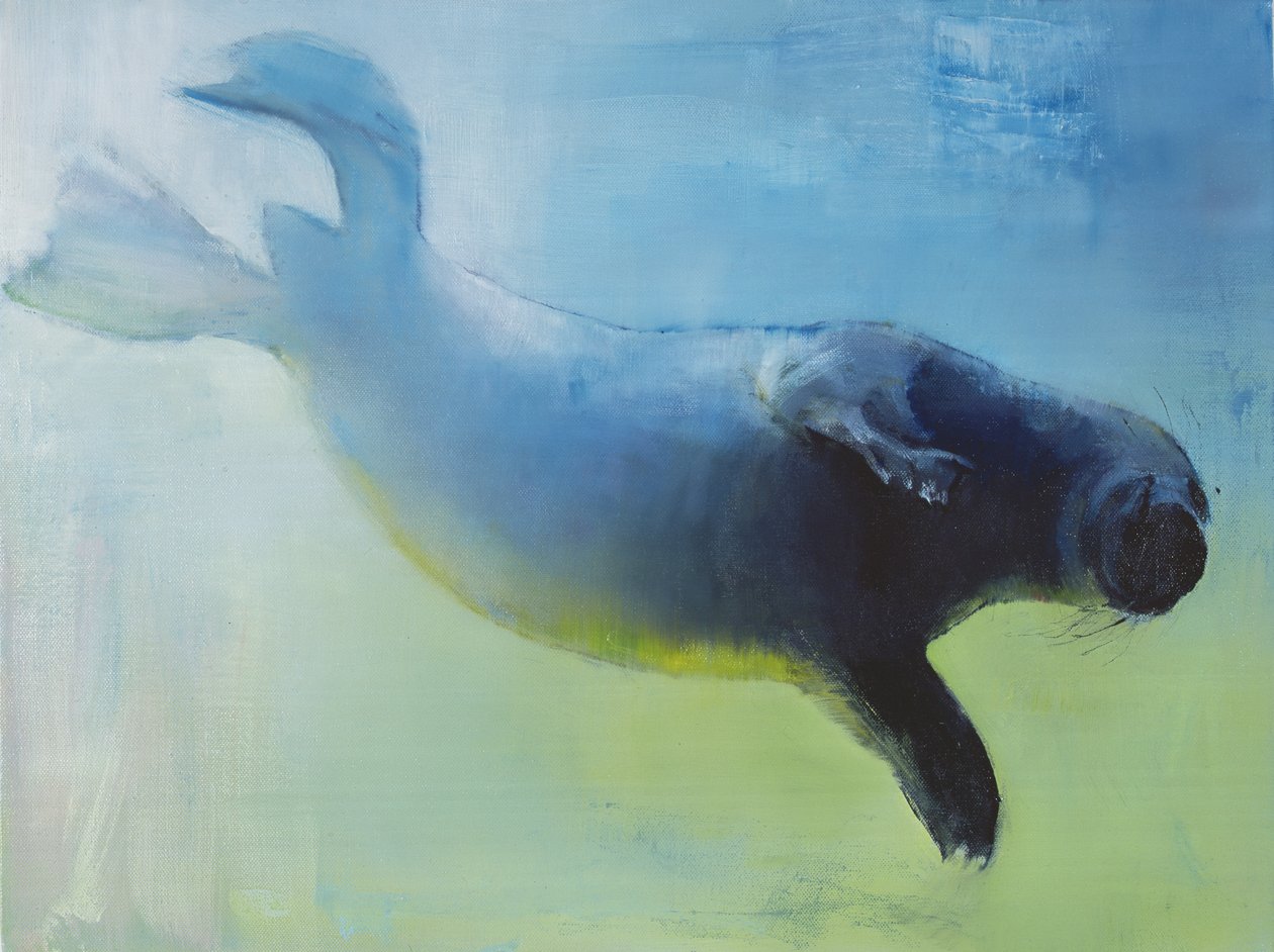 Sem Peso, 2003 de Mark Adlington