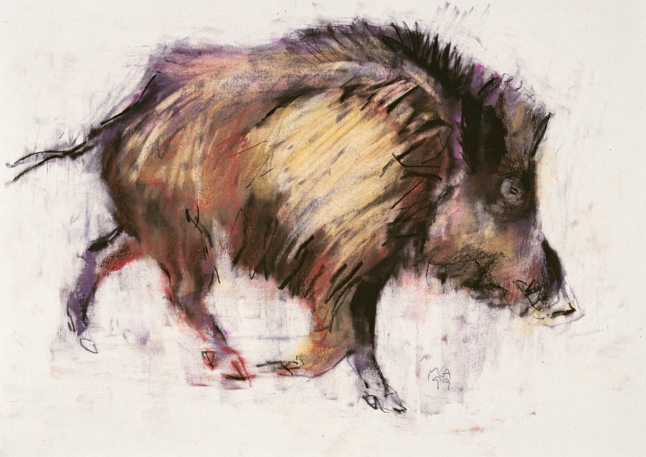 Wild Boar Trotting, 1999 (grafite, conte e carvão no papel) de Mark Adlington