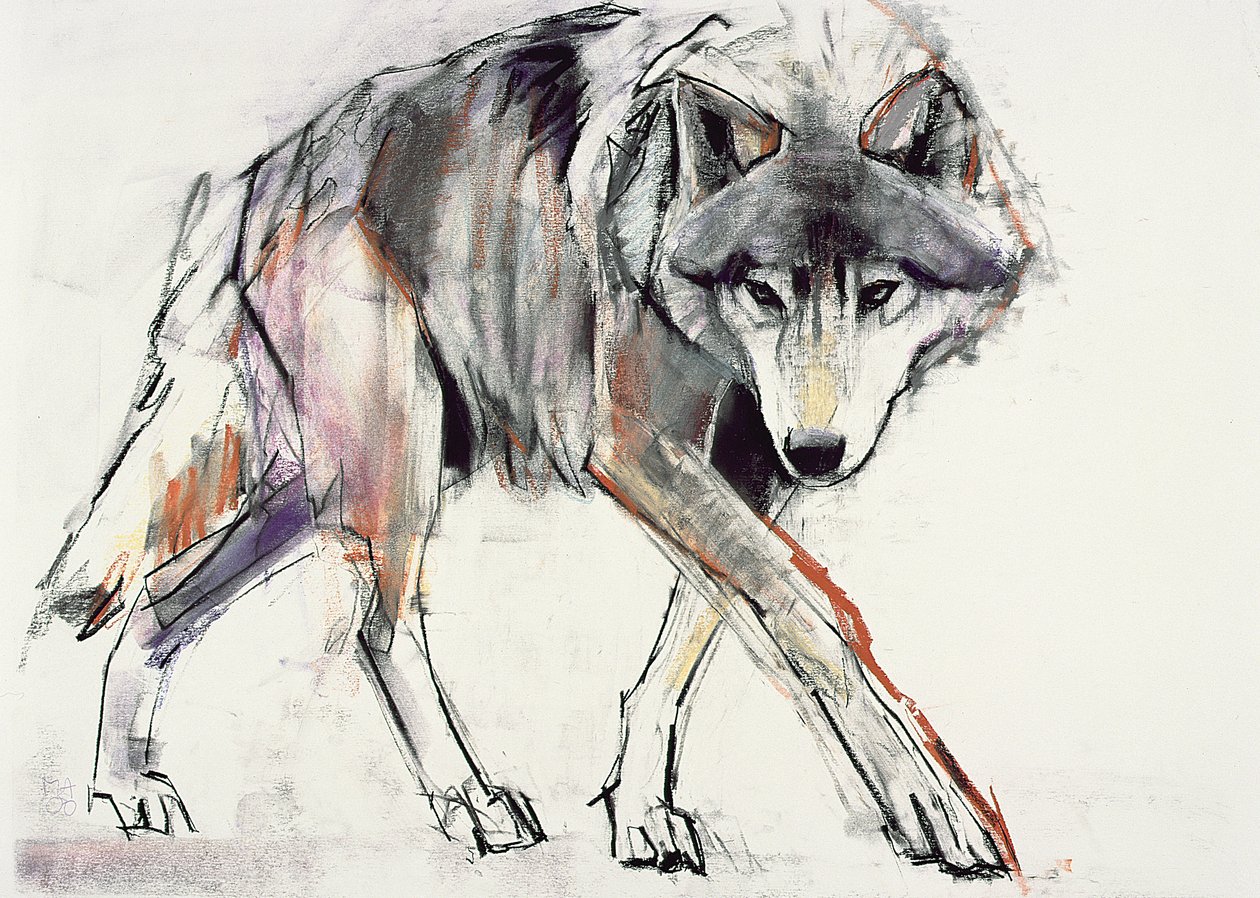 Lobo (mídia mista no papel) de Mark Adlington
