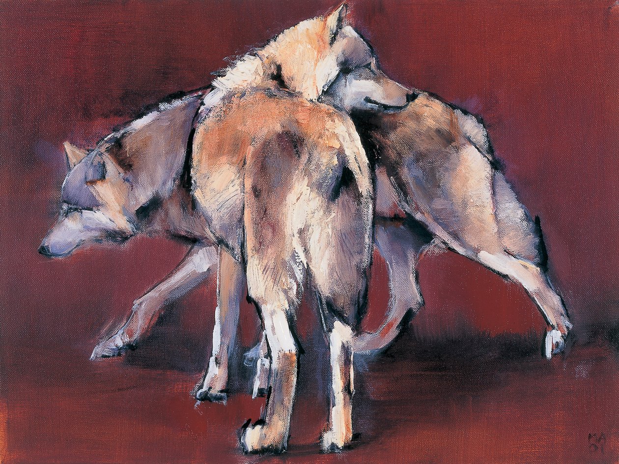 Composição Wolf, 2001 de Mark Adlington