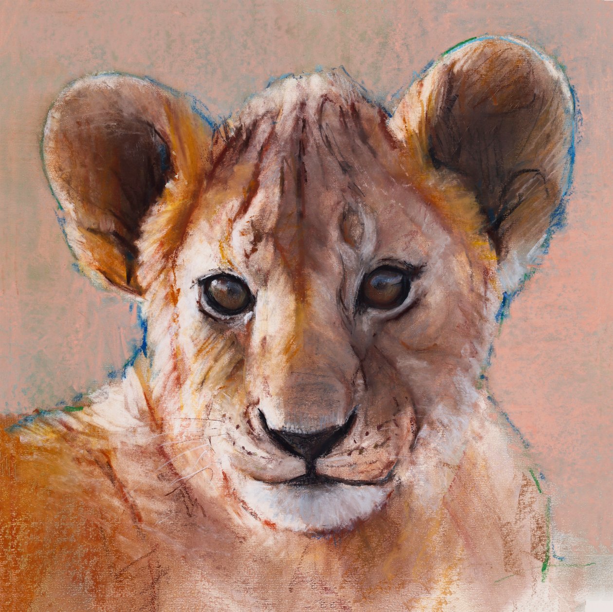Leãozinho mais novo, Masai Mara, 2019 de Mark Adlington