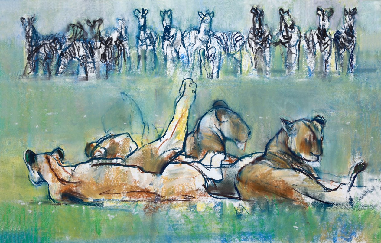 Linha Zebra, 2019 de Mark Adlington