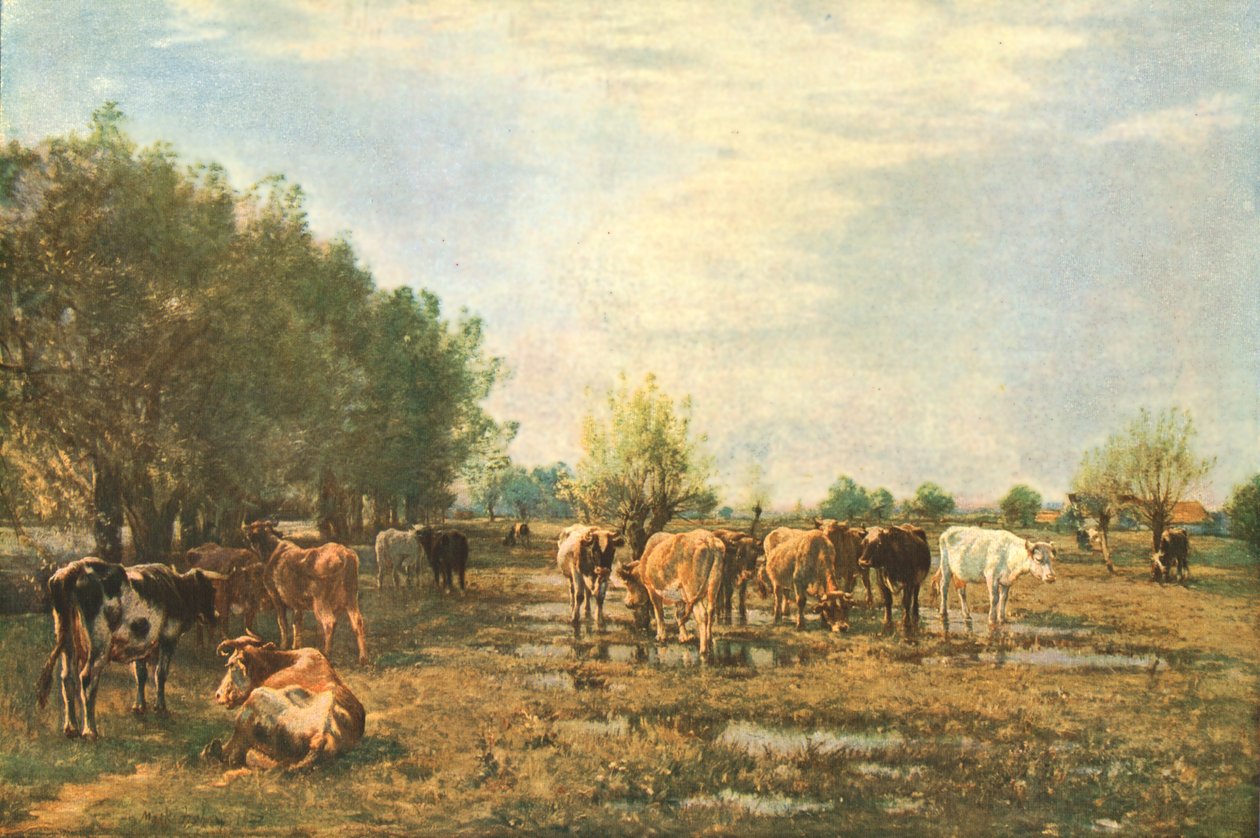 Fen Meadows/Mark Fisher、牧場/マーク・フィッシャー Fen Meadows with Cattle, 1877, c1930. | Mark Fisher