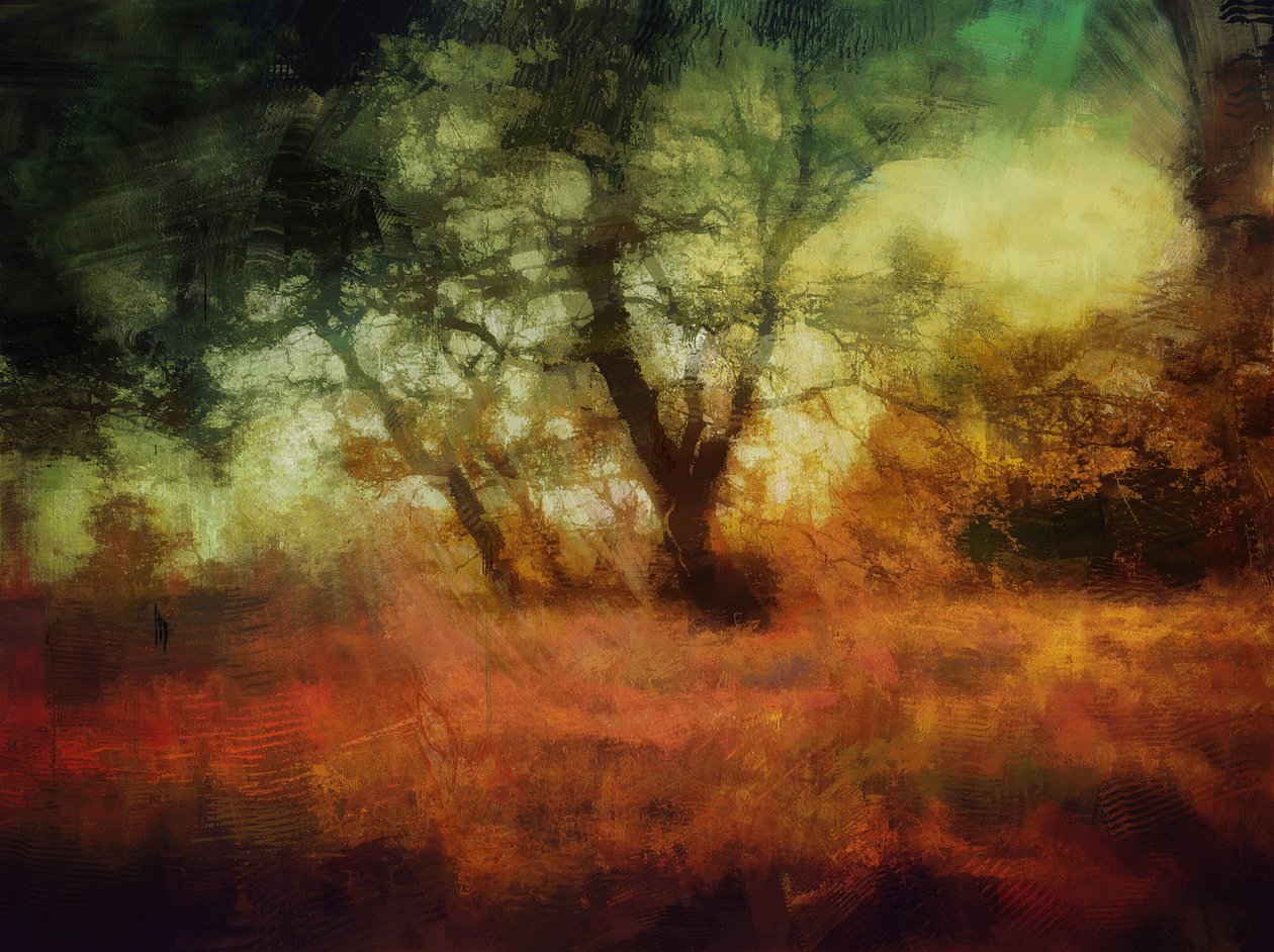 bosques em Calke Abbey de Mark Gordon