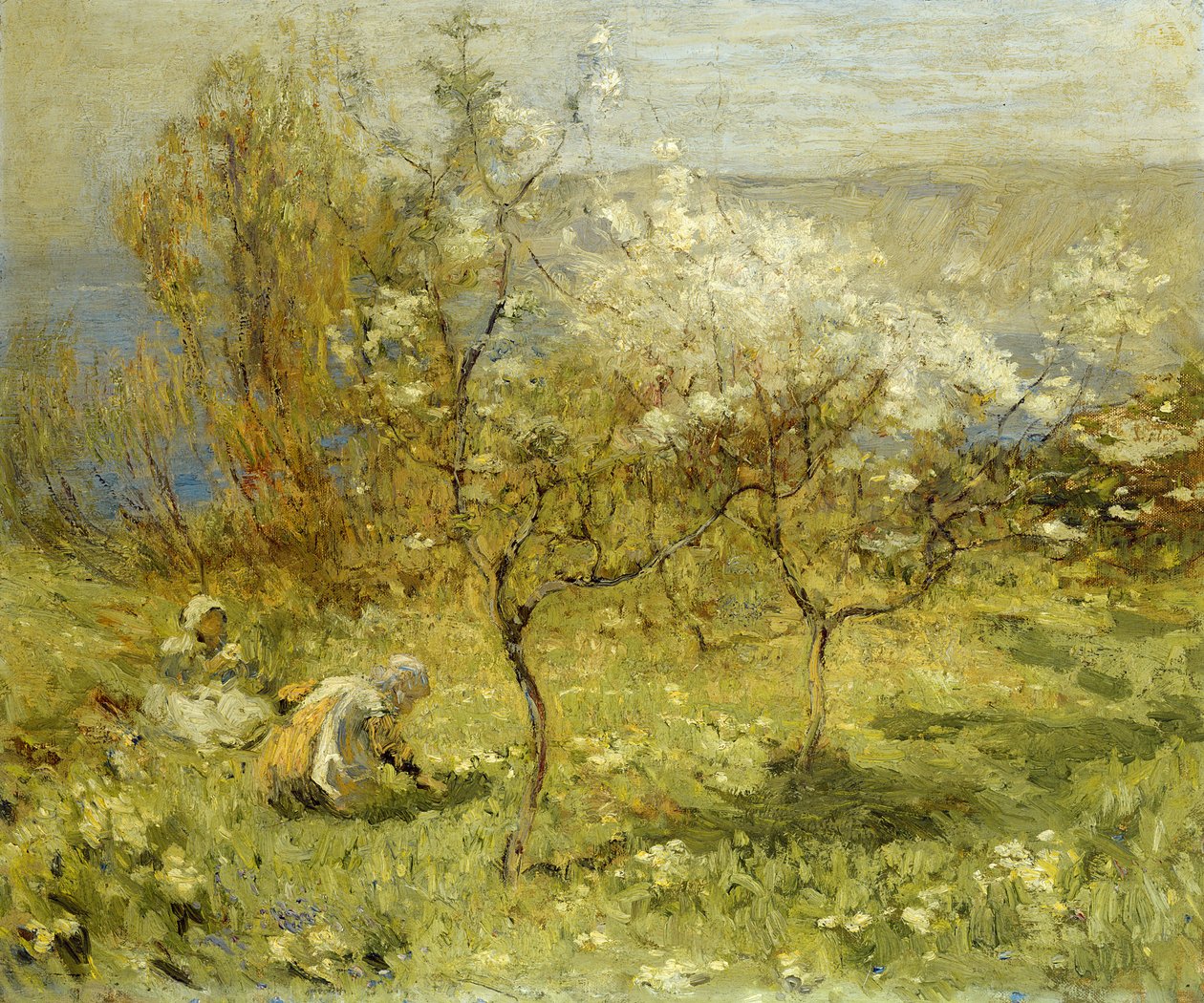 Apple Blossoms (óleo sobre tela) de Mark Senior