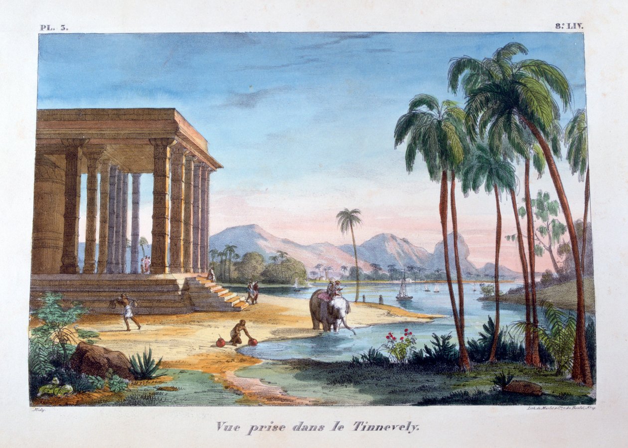 Uma vista de Tinnevelly, Índia, 1828 de Marlet et Cie
