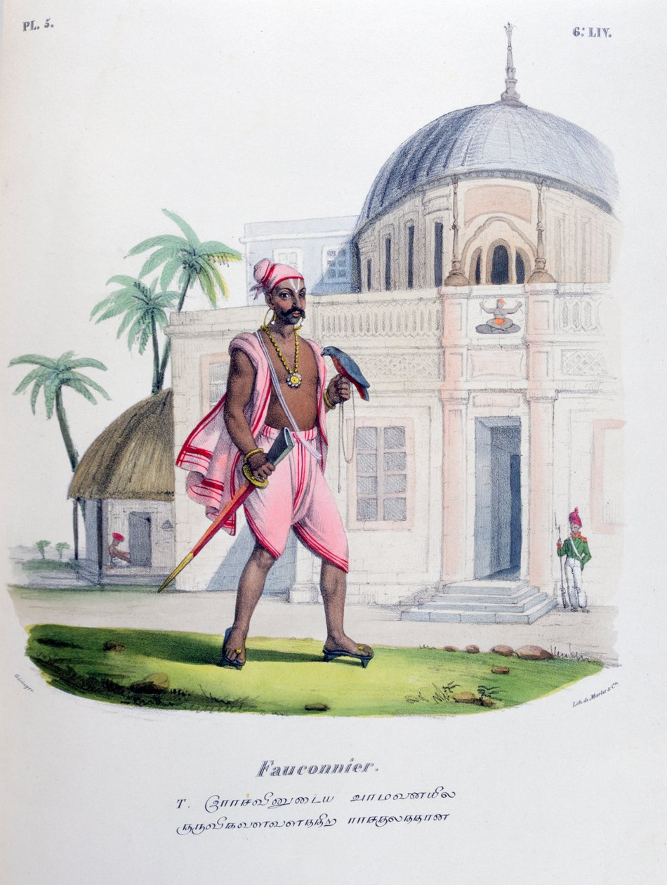 Falcoeiro, 1828 de Marlet et Cie