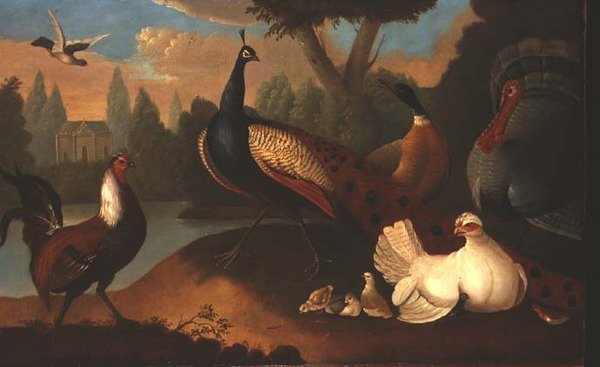 Paisagem com várias aves de Marmaduke Craddock