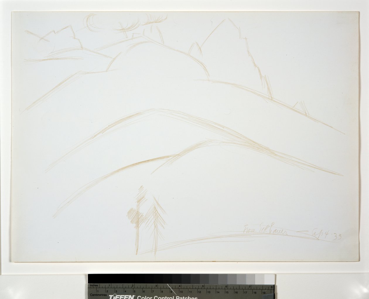 Paisagem de montanha com duas árvores de pinheiros de Marsden Hartley