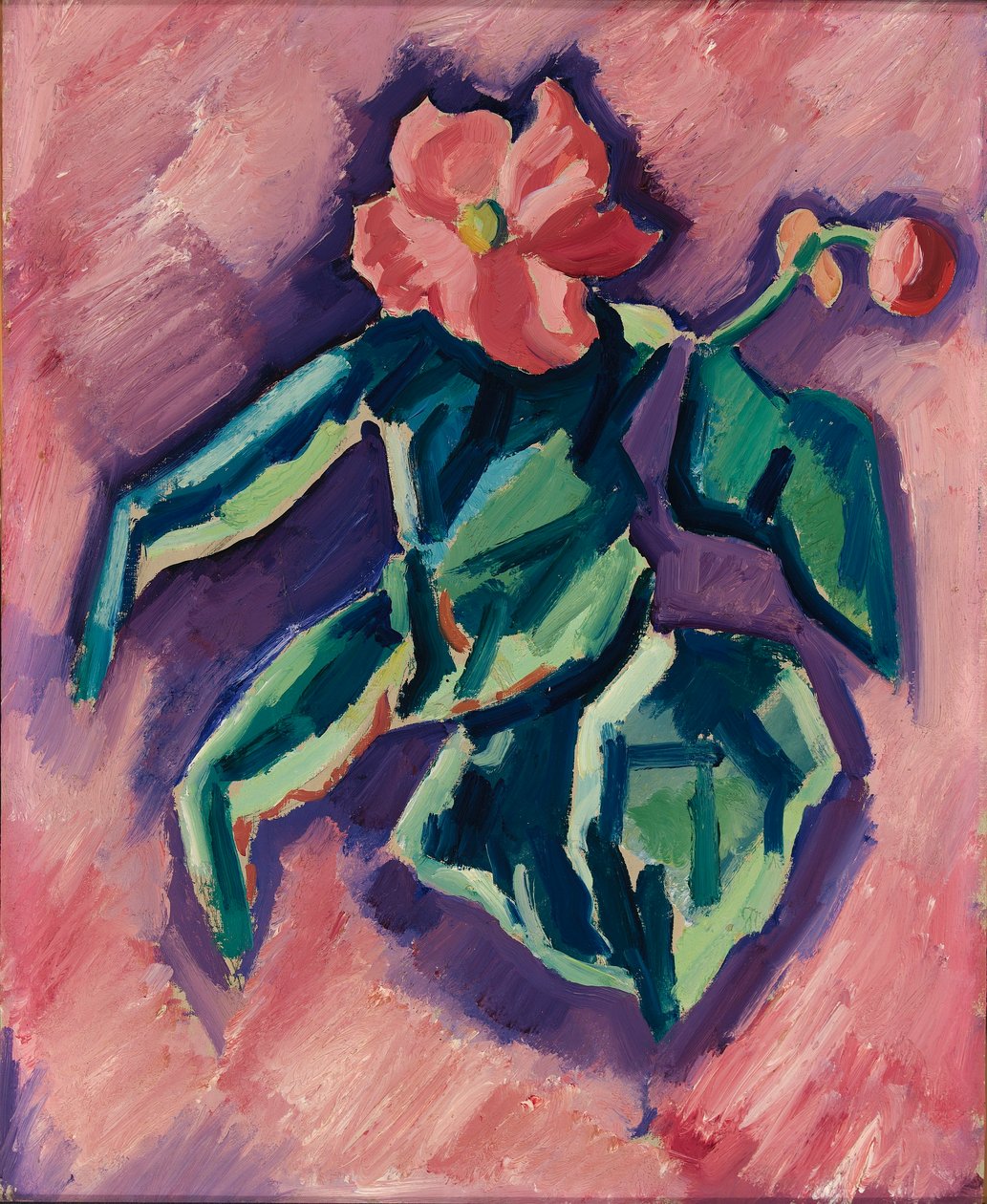 Rosa Begonien de Marsden Hartley