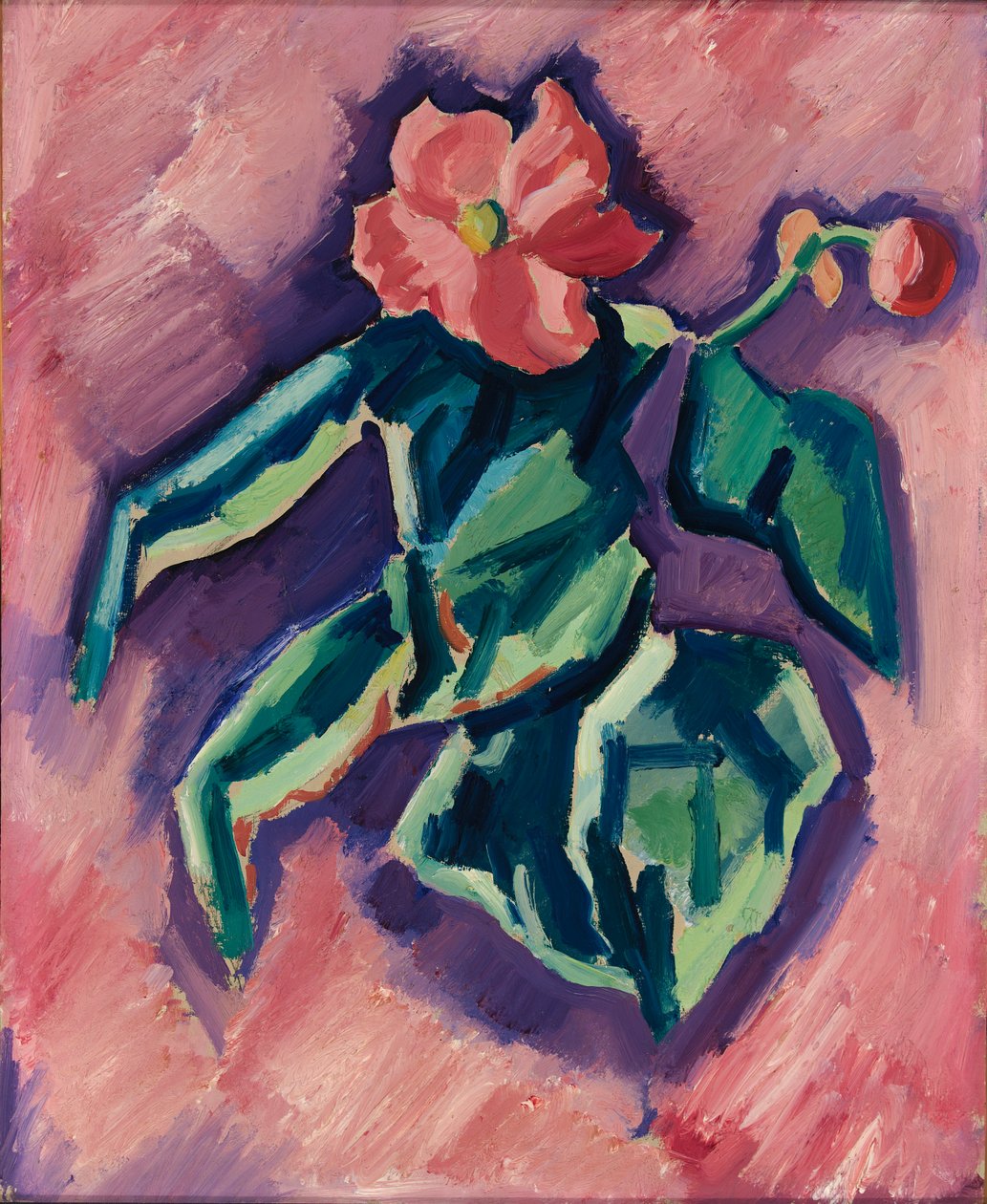 Pink Begonias, 1928-1929. de Marsden Hartley