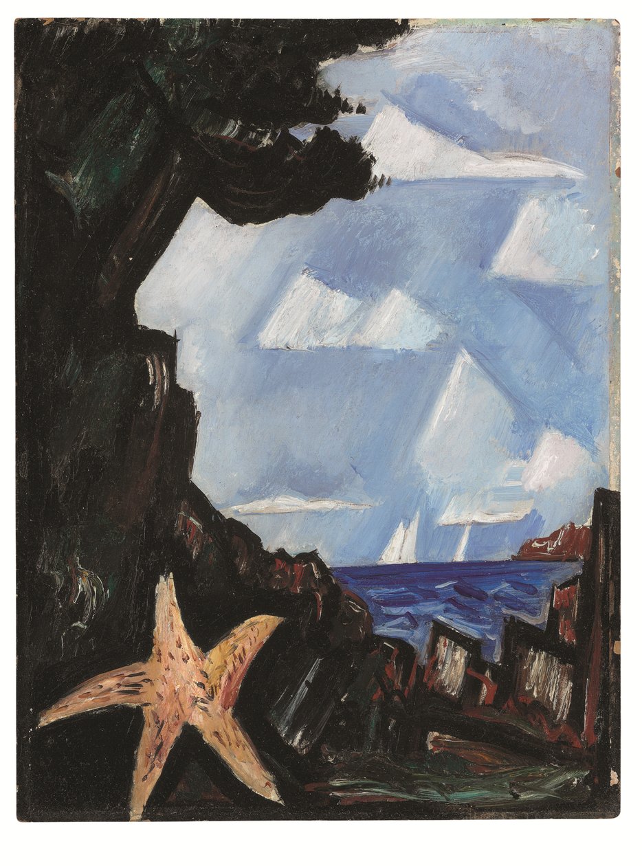 Sea View--Starfish, Nova Inglaterra de Marsden Hartley