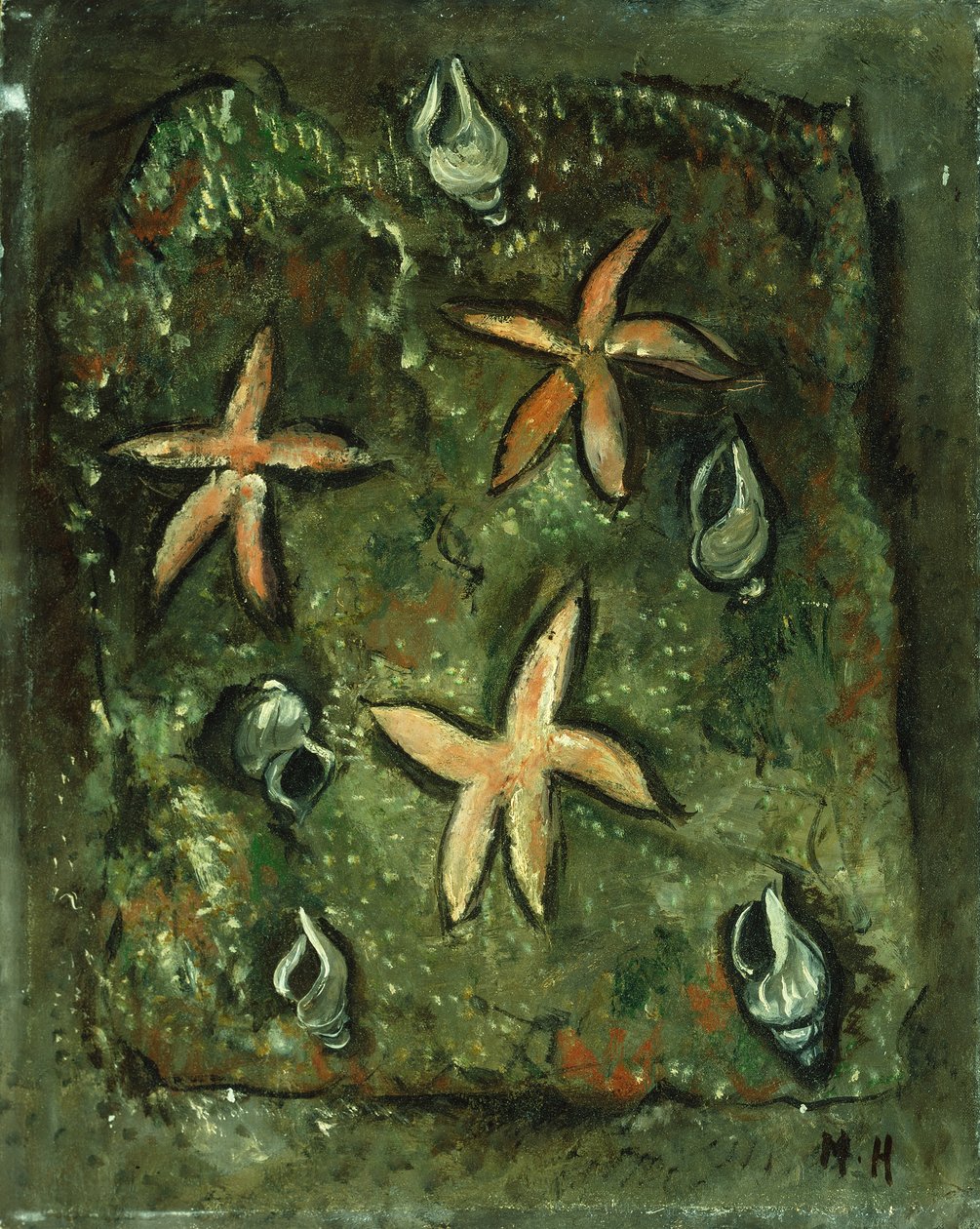 Peixe estrela e conchas de Marsden Hartley