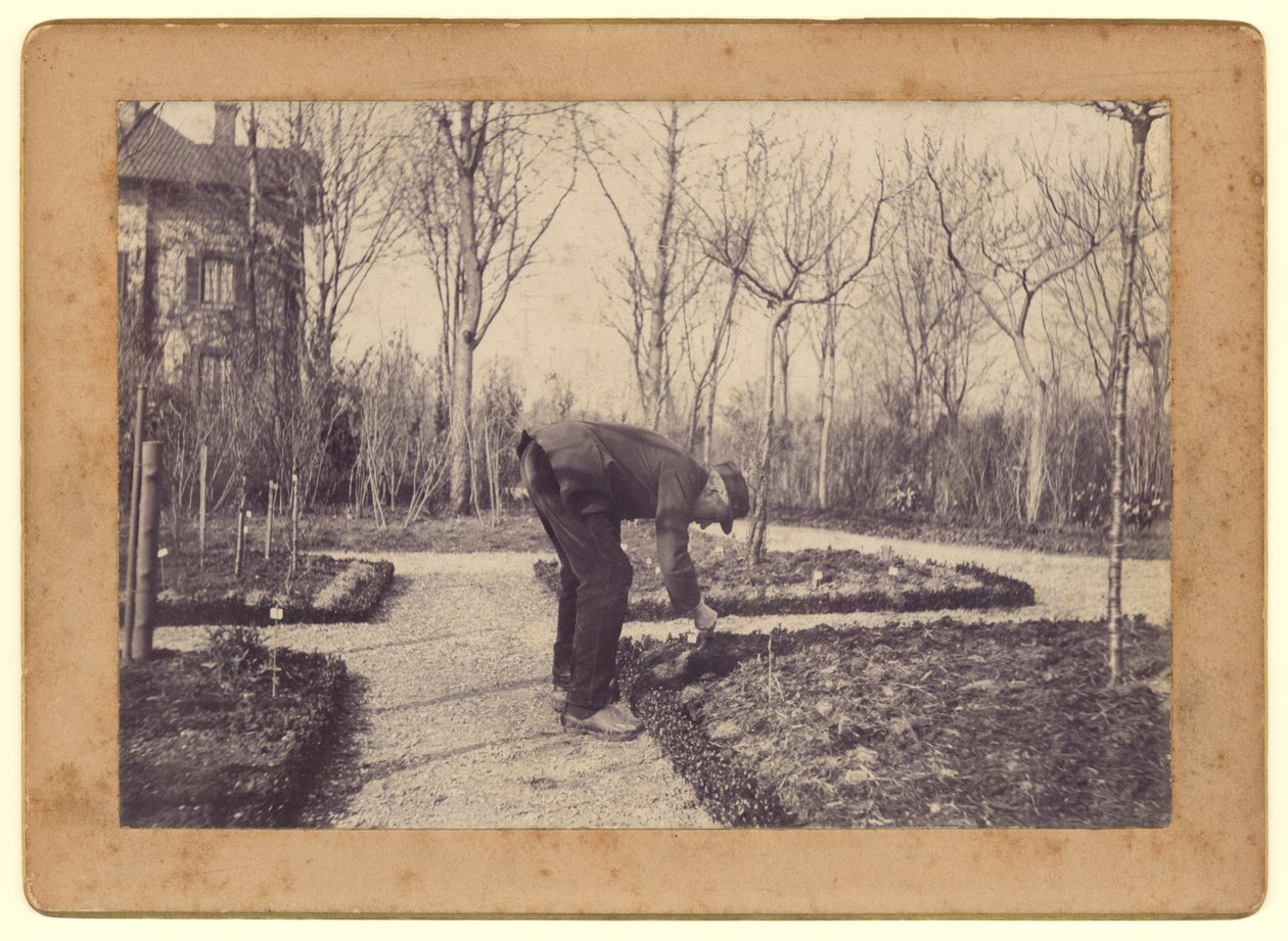 Gustave Caillebotte (1848-94) jardinagem em Petit Gennevilliers, fevereiro de 1892 (foto bw) de Martial Caillebotte