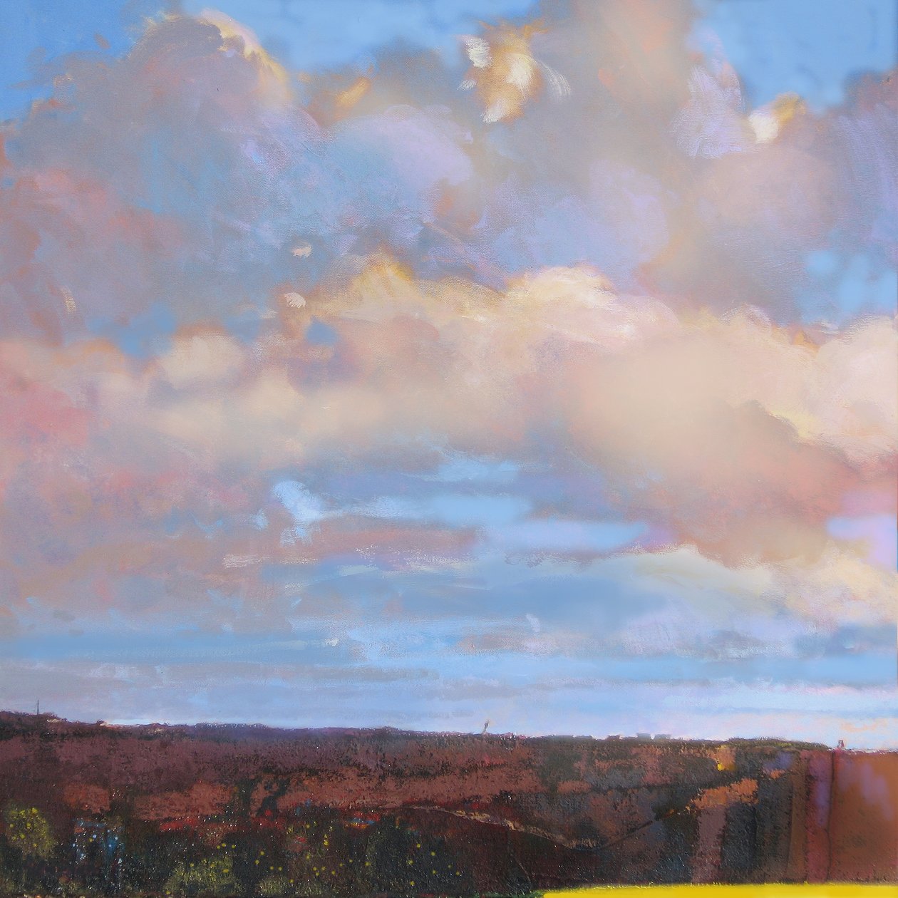 Escoteiro Infantil, 2015 de Martin Decent