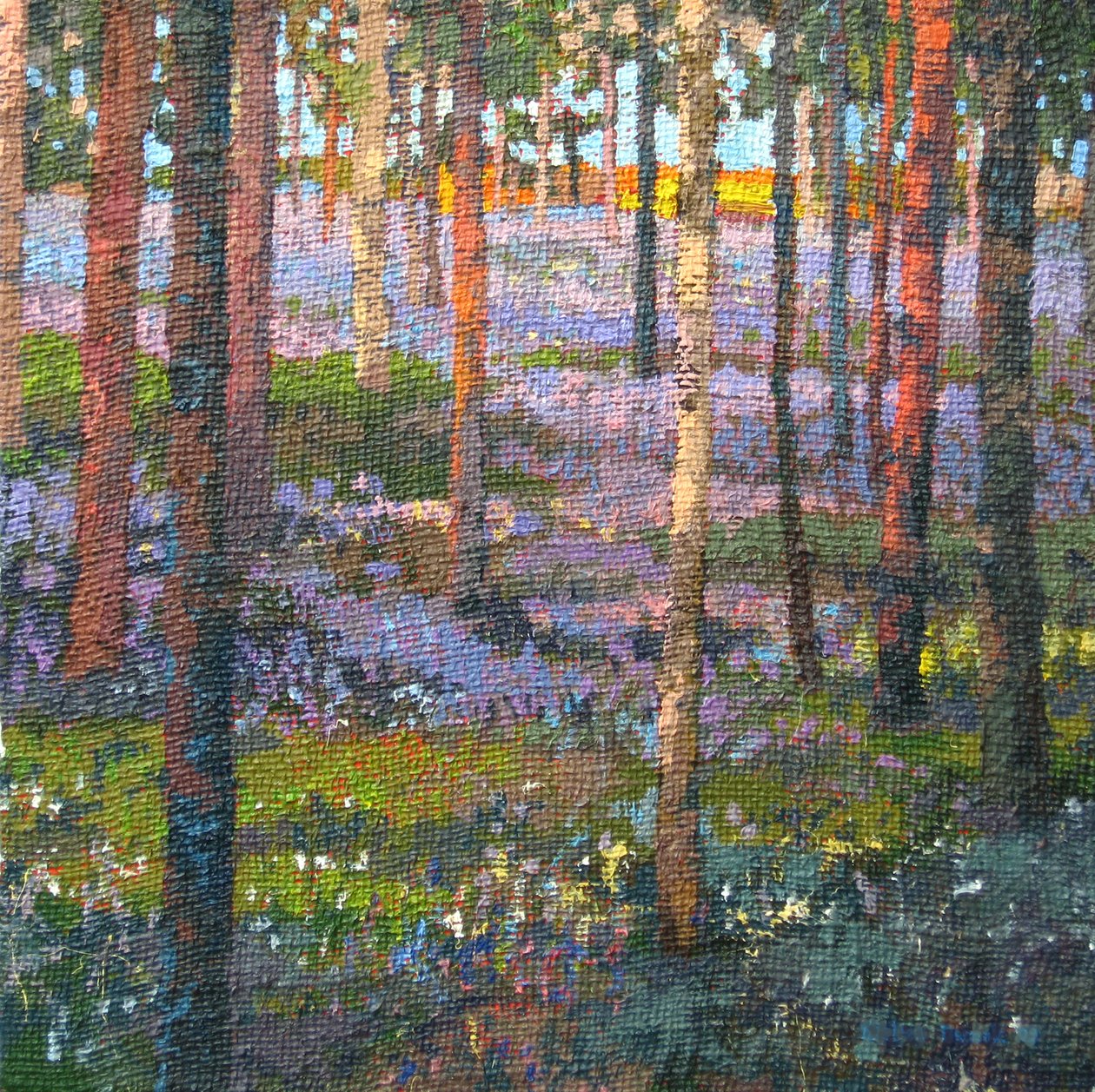 Late Bluebell Wood, 2014 de Martin Decent