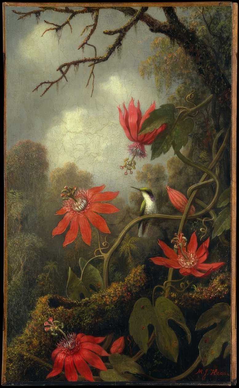 Beija-flor e maracujá flores de Martin Johnson Heade