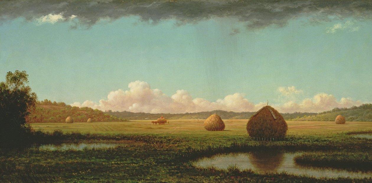 Chuveiros de Verão, c.1862-63 de Martin Johnson Heade