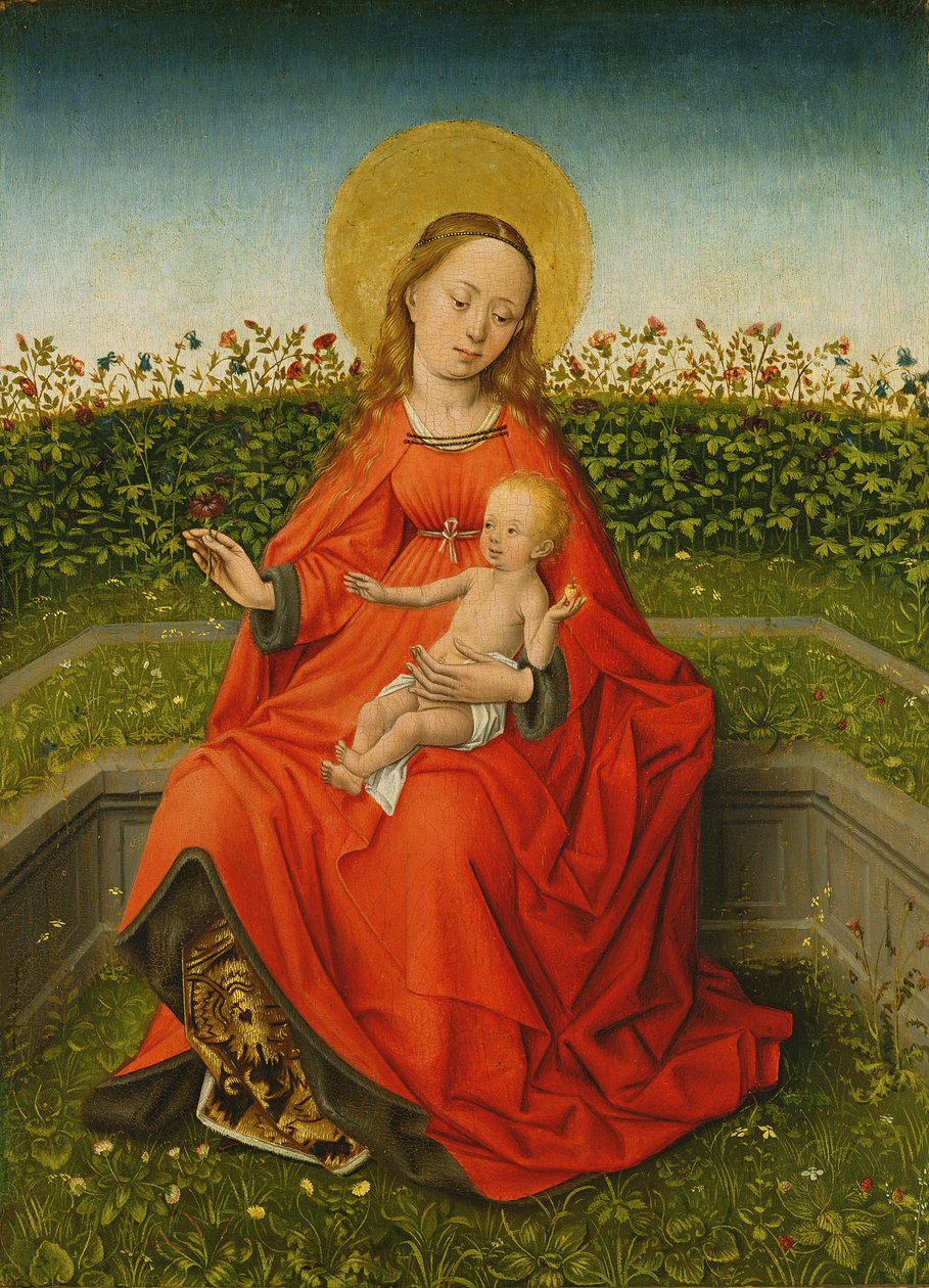 Maria da Rosa Bush de Martin Schongauer