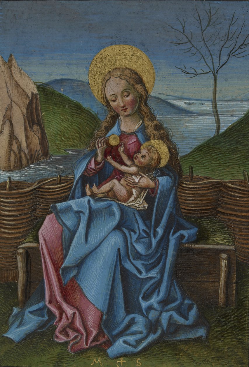 A Virgem e o Menino em um banco gramado de Martin Schongauer