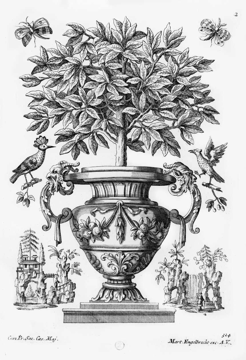 Árvores cítricas, c.1735 de Martin Engelbrecht