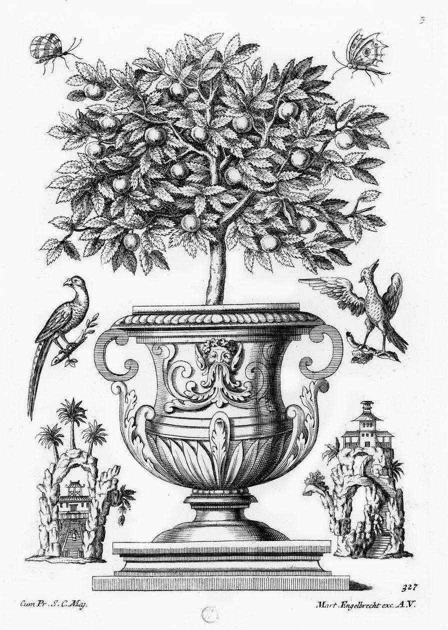 Árvores cítricas, c.1735 de Martin Engelbrecht