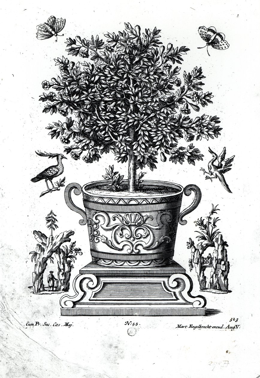 Árvore ornamental em uma urna em um pequeno palco de Martin Engelbrecht