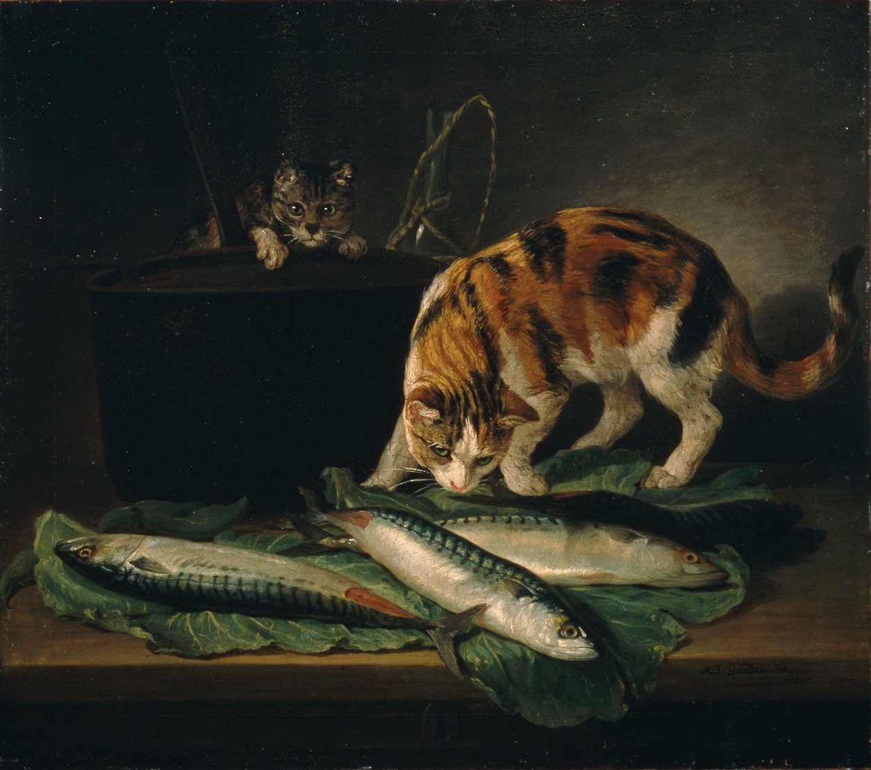 gatos e peixes de Martin Ferdinand Quadal