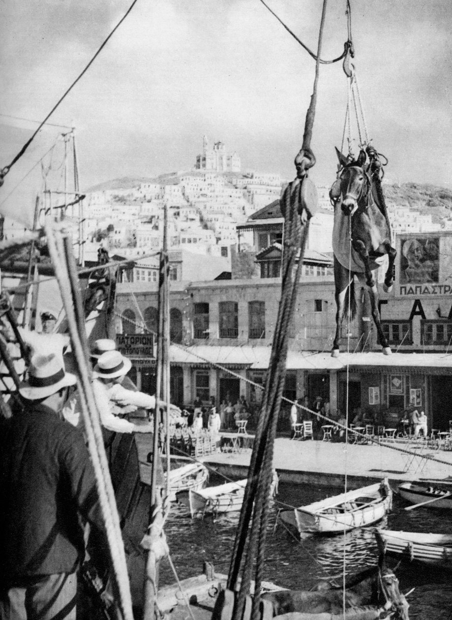 O envio de mulas, Ilha de Syros, Grécia, 1937. de Martin Hurlimann