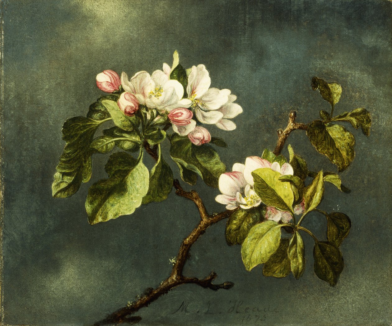 Flores de Maçã, de Martin Johnson Heade