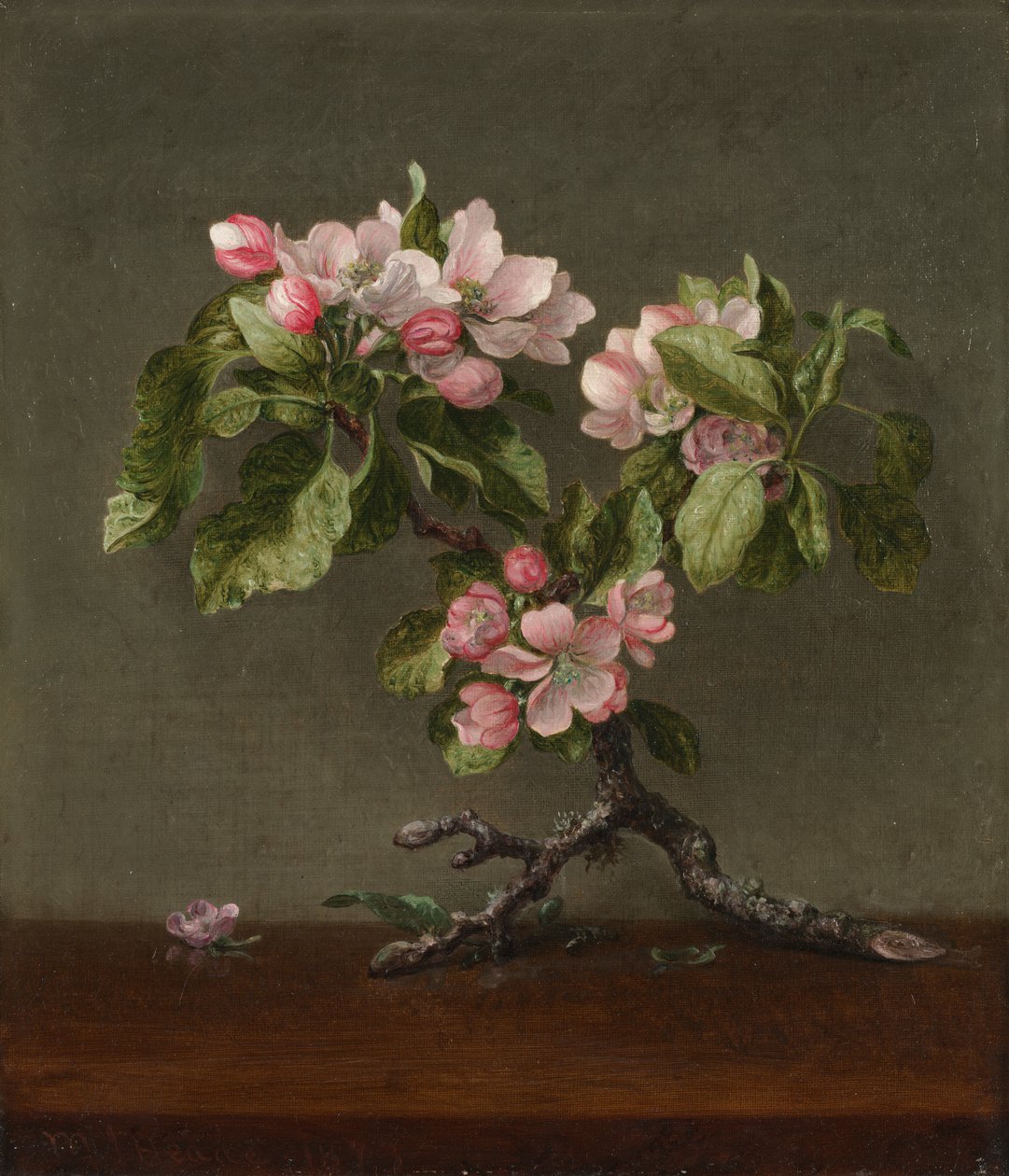 Flores de maçã, 1873. de Martin Johnson Heade