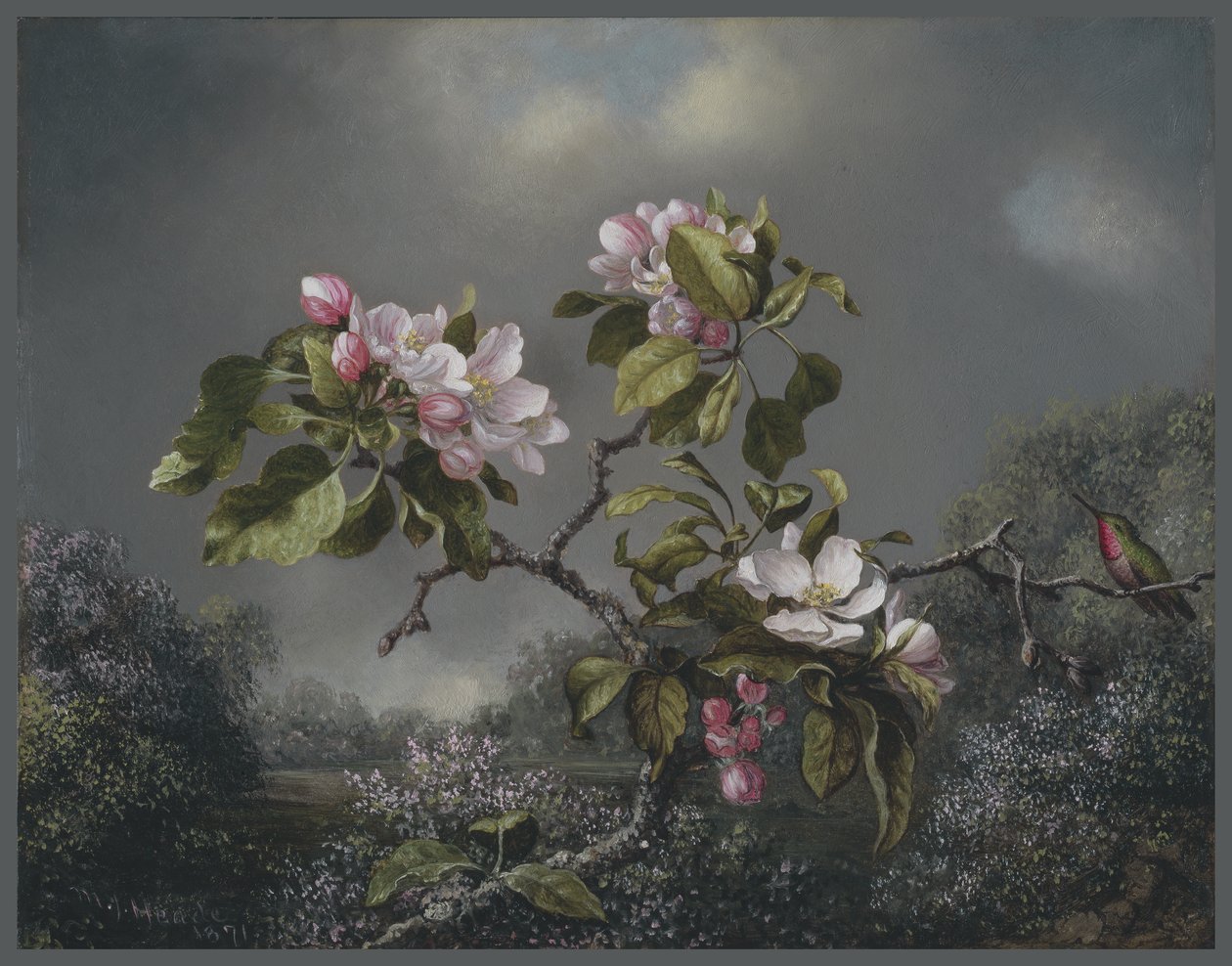 Flores de Maçã e Beija-Flor, 1871 de Martin Johnson Heade