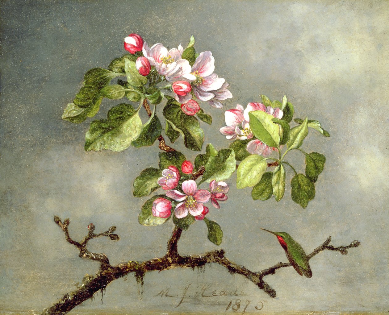 Flores de maçã e um beija-flor, 1875 de Martin Johnson Heade