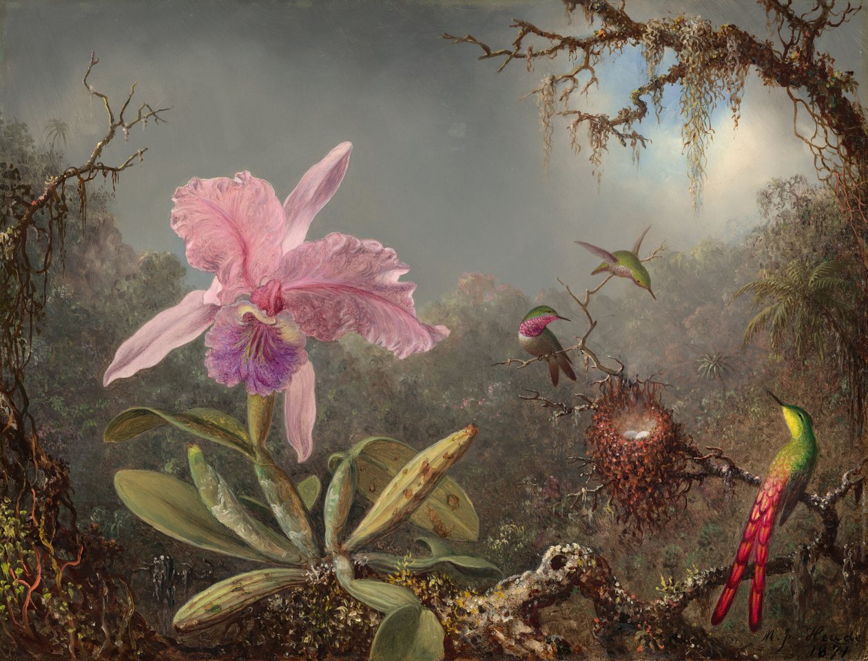 Cattleya Orchid and Three Hummingbirds, 1871. de Martin Johnson Heade