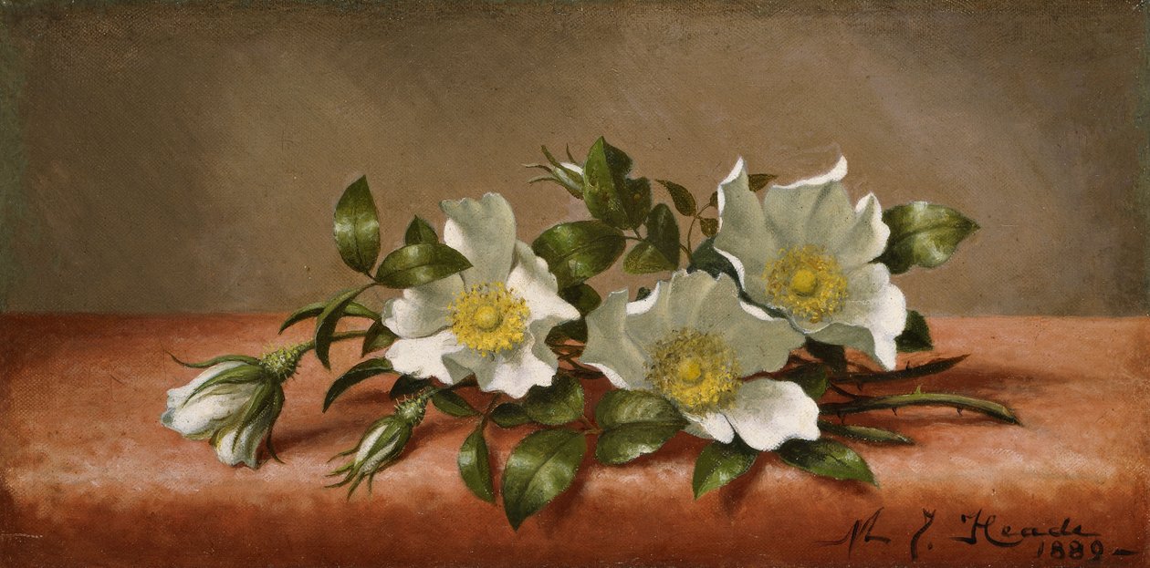 Rosas Cherokee de Martin Johnson Heade