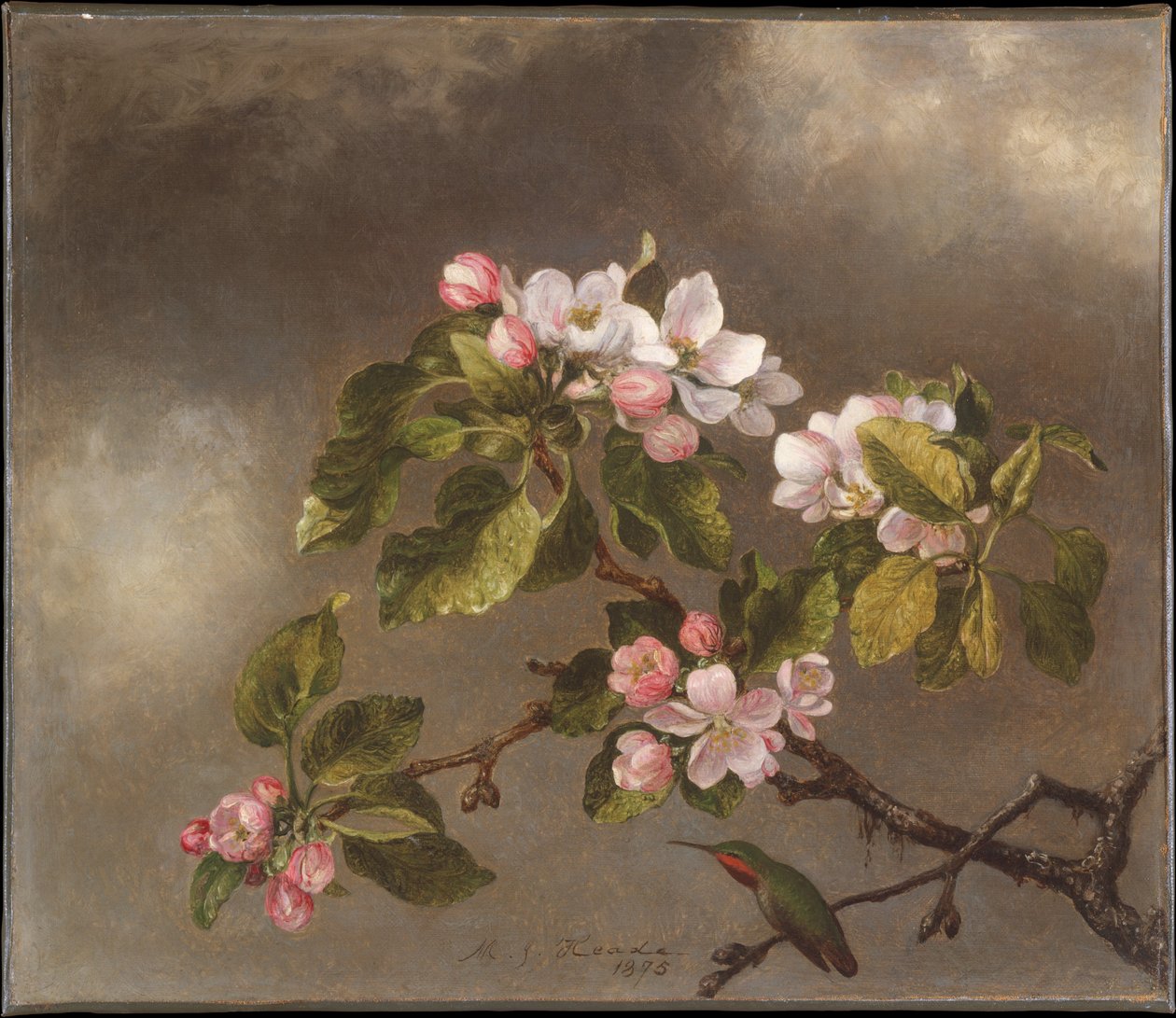 Beija-flor e flores de macieira de Martin Johnson Heade