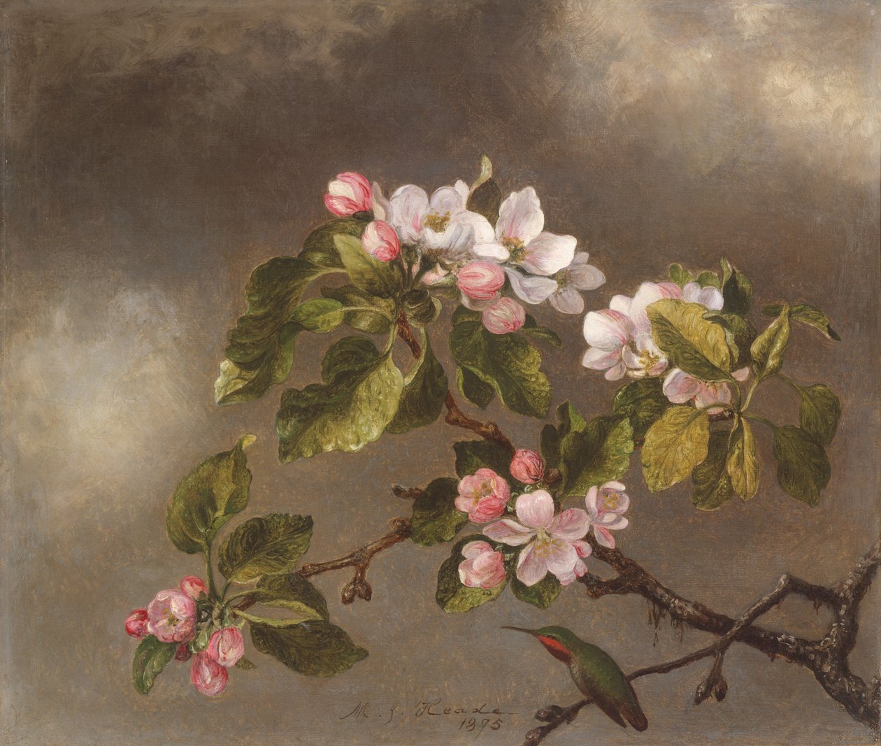 Beija-flor e flores de maçã, 1875 de Martin Johnson Heade