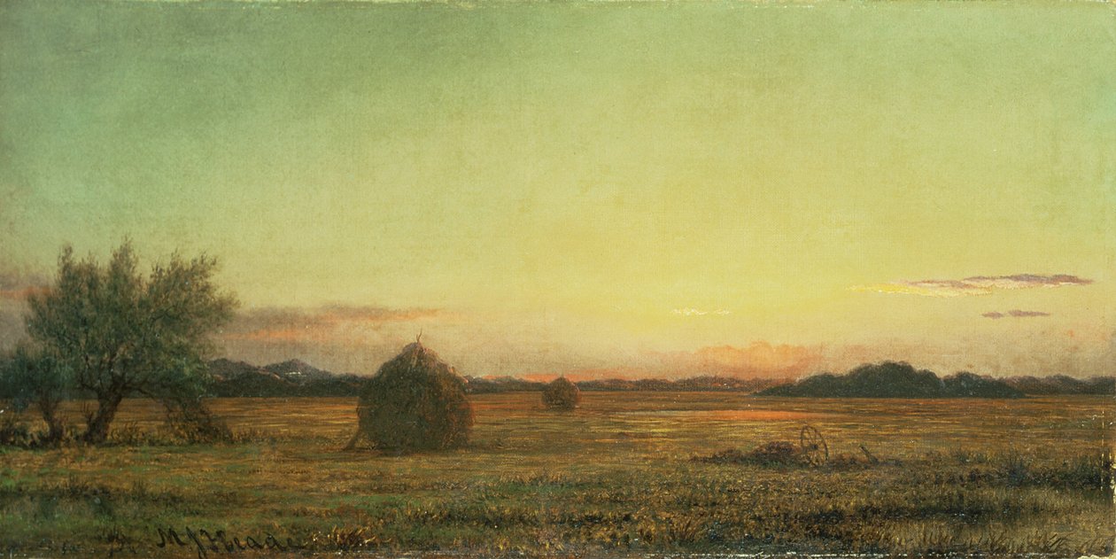 Jersey Meadows de Martin Johnson Heade
