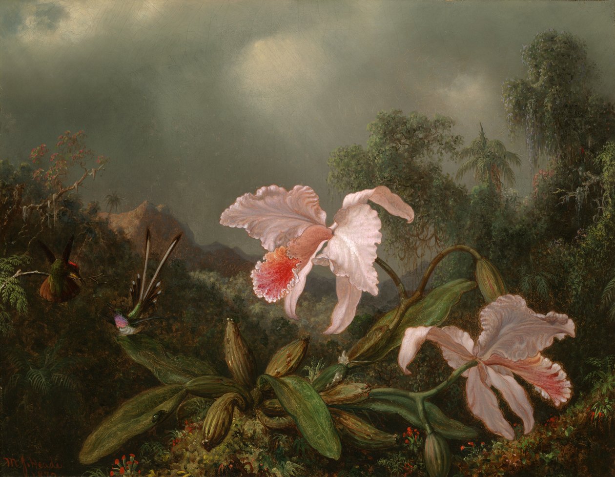 Orquídeas da selva e colibris de Martin Johnson Heade