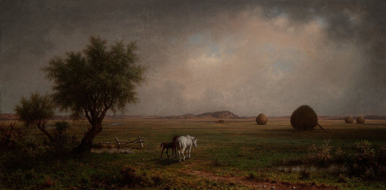 Égua e potro num pântano de Martin Johnson Heade