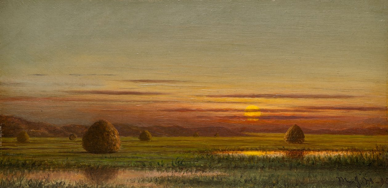 Pântanos de Martin Johnson Heade