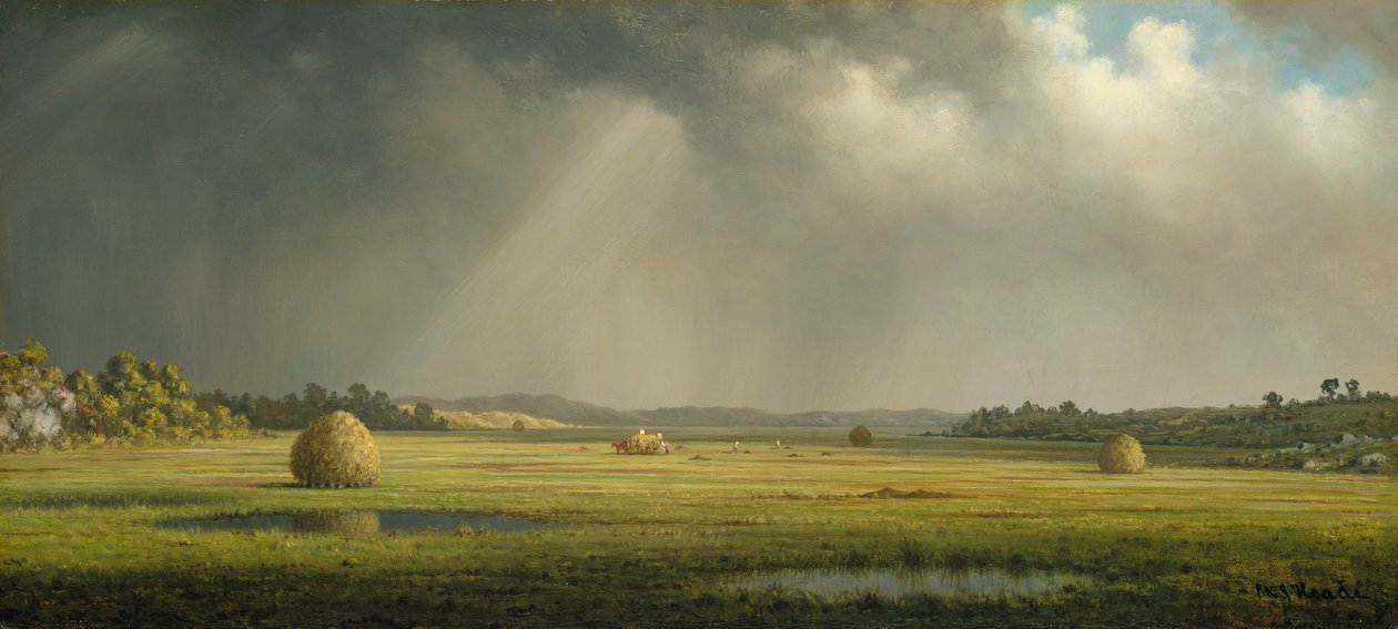 Newburyport Meadows, ca. 1876-81. de Martin Johnson Heade