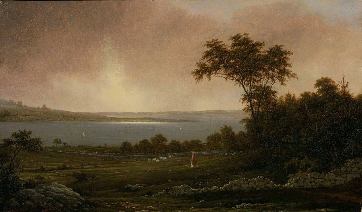 Paisagem de Rhode Island de Martin Johnson Heade