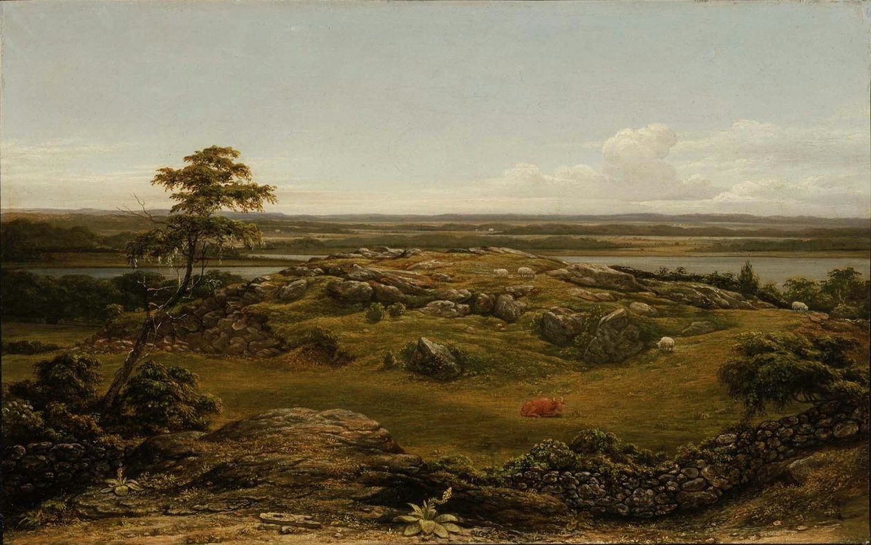 Rochas em Nova Inglaterra de Martin Johnson Heade